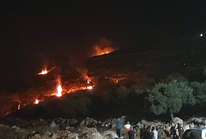 بيت دجن تعتمد 